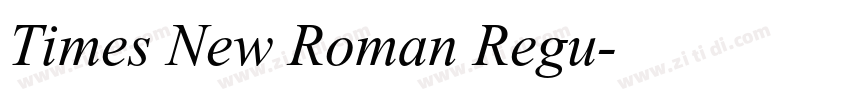 Times New Roman Regu字体转换